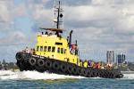 ID 4419 PACIFIC WAY (1960/111grt/IMO 5242952, ex-MOUNT MAUNGANUI, SOUTHERN ALPHA) operated by Heron Construction of Papakura, Auckland who rebuilt and re-engined her in 1997. She was built by Mason Brothers...